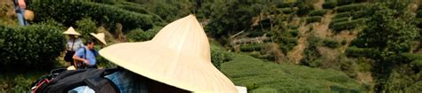 One-Day Hangzhou Dragon Well Tea Culture & West Lake Private Tour ...