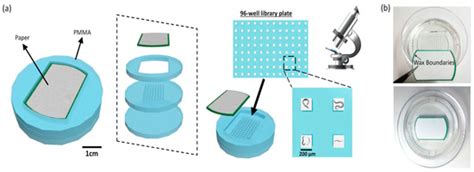 Paper-Supported High-Throughput 3D Culturing, Trapping, and Monitoring ...
