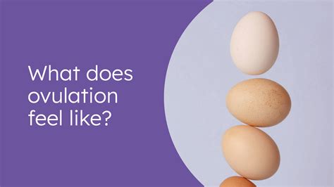 What Does Ovulation Feel Like? - Proov