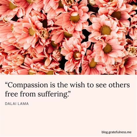 60+ Compassion Quotes to Make This World a Kinder Place