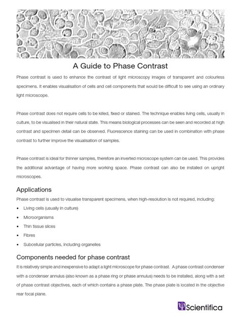 Image result for Phase Contrast Diffraction
