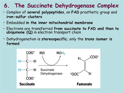PPT - Enzyme Kinetics and Factors Influencing Enzyme Activity ...