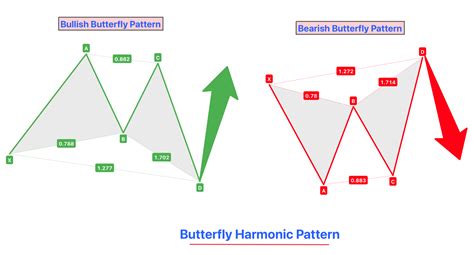 Image result for Harmonic Patterns Tutorial