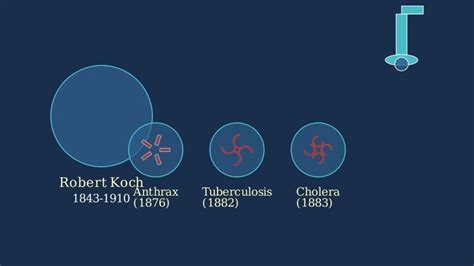 Animation DNA Replication Steps 的图像结果