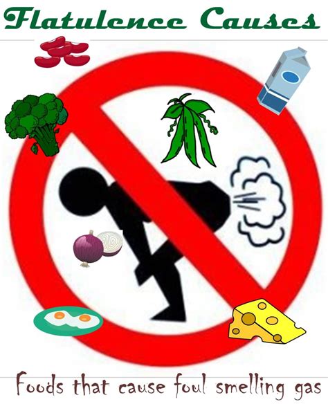 Dog Very Bad Smelling Gas at Sammy Parra blog