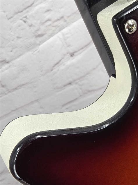 Image result for Danelectro 12 String Review