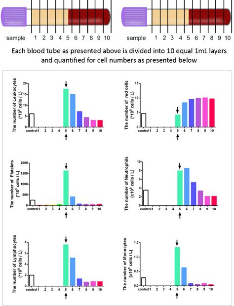 PRF Protocol 的图像结果
