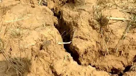 Acute water shortage has massively affected the agricultural activities ...