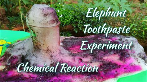 Elephant Toothpaste Reaction Explained 的图像结果