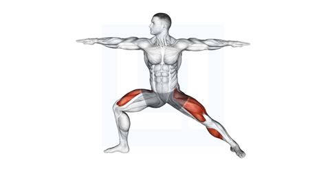 Image result for Scorpion Stretch Tutorial