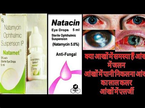 Natamycin (E235): The Antibiotic Preservative on Your Cheese