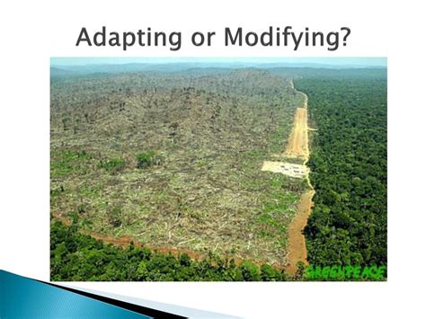 Image result for Modifying the Environment