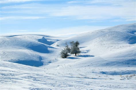 Latah Credit Union – Latah Credit Union provides competitive financial ...