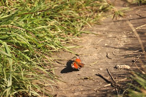 Spud's Daily Photo: Some odds and ends