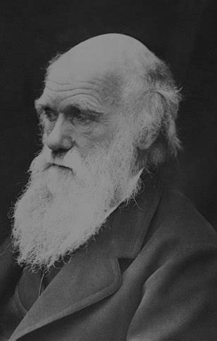 Index of /assets/extra-images