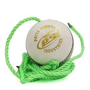 PSE Priya Sports Leather Match Practice Hanging Cricket Ball White Pack ...