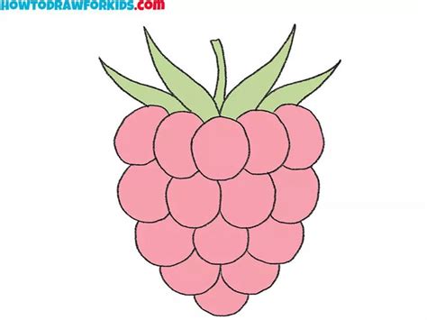 Image result for Raspberry Drawing Tutorial