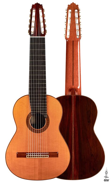 Image result for 10 String Guitar Lessons