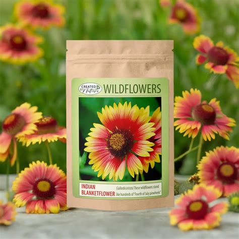 Wildflower Seeds and Mixes | Created By Nature