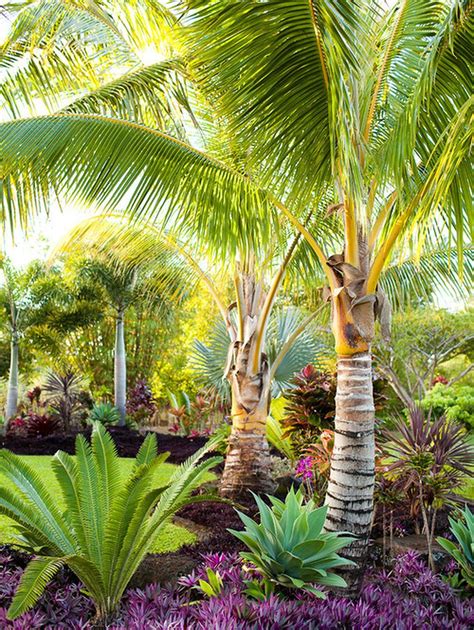 Kawaii Interior | Tropical garden design, Tropical landscape design ...