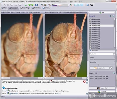 Helicon Focus 7 Tutorial 的图像结果