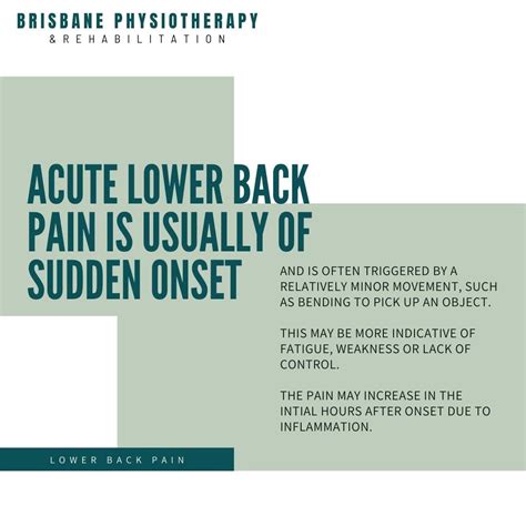 Image result for Common Lower Back Muscle Pain