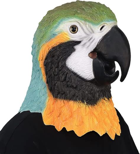 MOKRY PARTY Parrot Bird Head Mask Long Style Head India | Ubuy