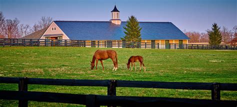 Build Equine Facilities, Horse Barns | True Harmony Builders