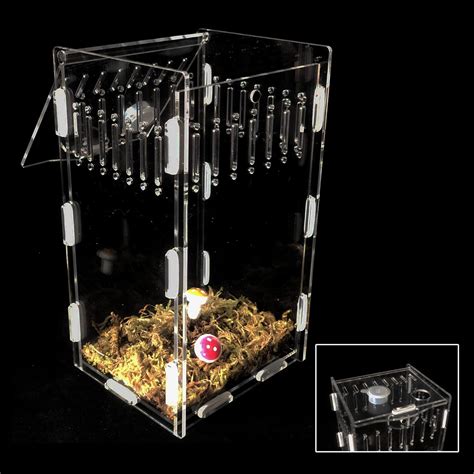 Buy 5x4x8 inch Magnetic Acrylic Reptile Case, Vertical Transparent ...