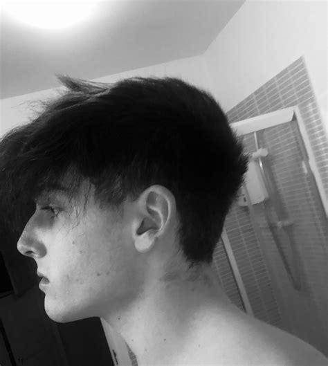 What Is A Roman Nose Look Like at Dominic Johnson blog