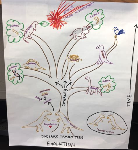 Image result for Natural Selection vs Evolution