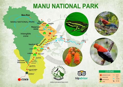 Animals of Manu National Park | Manu Rainforest