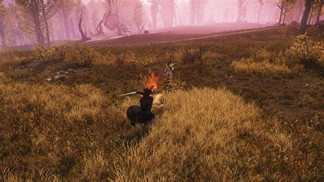 Image result for New World Leveling Guide