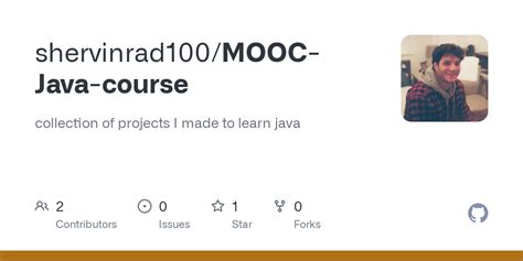 Java MOOC 的图像结果