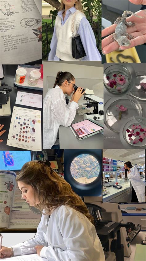Biology major college aesthetic in 2025 | Biology major, Medical laboratory science, Science student