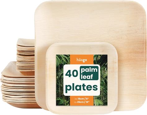 Amazon.com | HAAGO 40 Palm Leaf Plates 10 Inch & 6 inch (Square ...