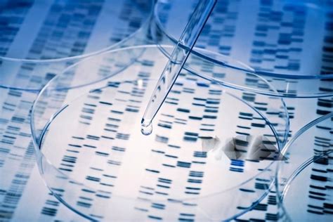 SEQGEN Life Sciences