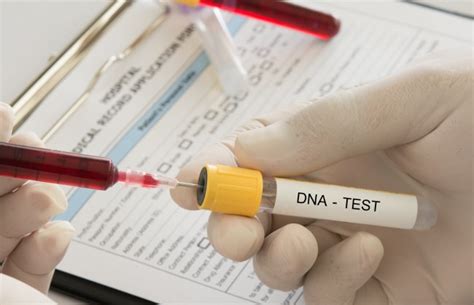 DNA: Struktur, Fungsi, dan Perannya dalam Kehidupan Manusia - Alodokter