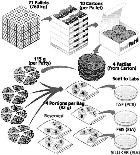 Image result for Beef Processing Flow Chart
