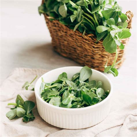 Purslane Seeds - Green | Herb Seeds in Packets & Bulk | Eden Brothers