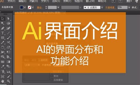 AI教程中文版Illustrator CS6实用教程（附光盘）ai cs6软件平面设计制图平面设计书籍 AI视频教程cs6教程书_虎窝淘