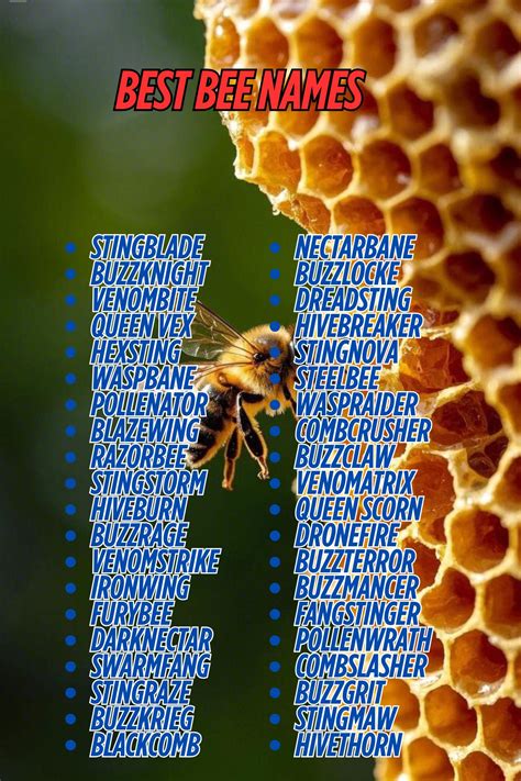 1400+ Best Bee Names with Meanings 2025