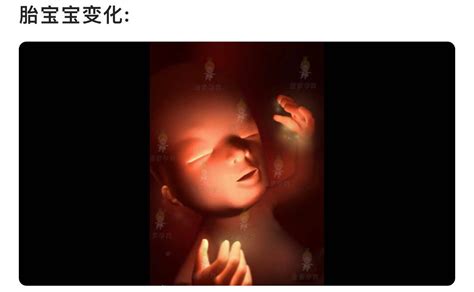 关于NT检查，孕13周前的妈妈一定要看看了！ | 广州爱博恩妇产医院,广州爱博恩官方网站,广州高端妇产医院