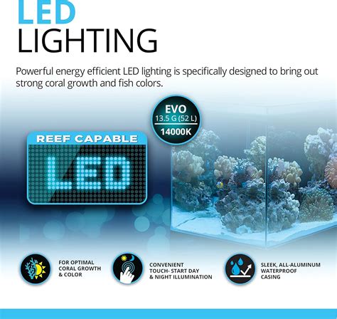 Fluval Evo XII Saltwater Aquarium Kit - 13.5 Gal India | Ubuy