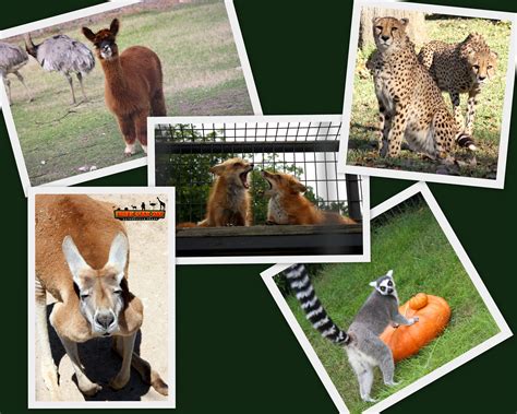 Gainesville, TX - Official Website - Zoo, Frank Buck Zoo