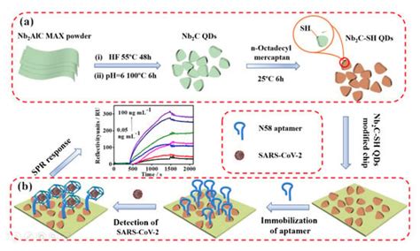 Biomedical Applications of an Ultra-Sensitive Surface Plasmon Resonance ...