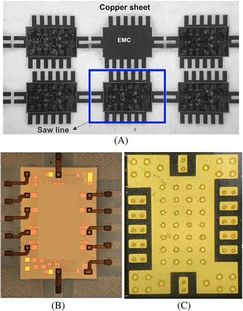 Image result for WLP Process Introduction