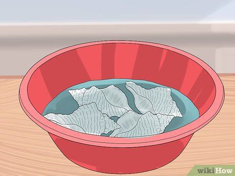 Image result for Cleaning Conch Shells