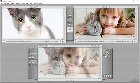 Image result for Morphing Software