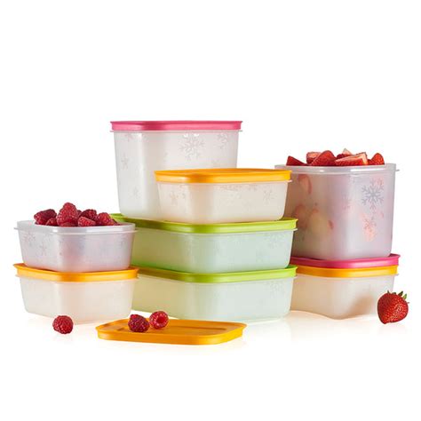 Freezer Mates® Containers – Tupperware US